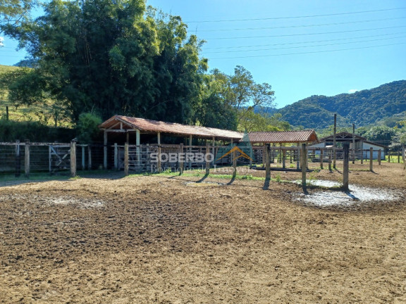 Imagem Imóvel com 8 Quartos à Venda, 6.000.000 m² em Gaviões - Silva Jardim Imagem Imóvel com 8 Quartos à Venda, 6.000.000 m² em Gaviões - Silva Jardim