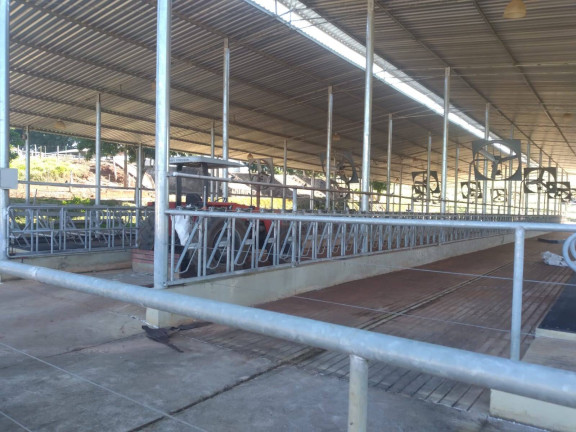 Imagem Fazenda à Venda, 1.234.200 m² em Zona Rural - Angatuba Imagem Fazenda à Venda, 1.234.200 m² em Zona Rural - Angatuba