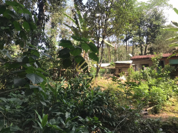 Imagem Terreno à Venda, 32 m² em Horto Florestal - Ubatuba Imagem Terreno à Venda, 32 m² em Horto Florestal - Ubatuba