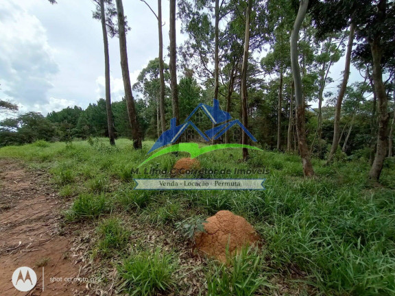 Imagem Terreno à Venda, 48 m² em Terra Preta - Mairiporã Imagem Terreno à Venda, 48 m² em Terra Preta - Mairiporã