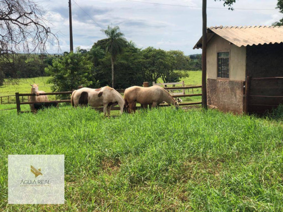 Imagem Chácara com 4 Quartos à Venda, 540 m² em Centro - Terenos Imagem Chácara com 4 Quartos à Venda, 540 m² em Centro - Terenos