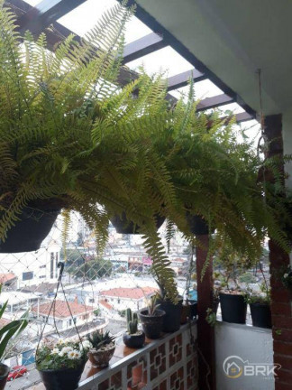 Imagem Apartamento com 3 Quartos à Venda, 80 m² em Jardim Sao Paulo(zona Norte) - São Paulo Imagem Apartamento com 3 Quartos à Venda, 80 m² em Jardim Sao Paulo(zona Norte) - São Paulo