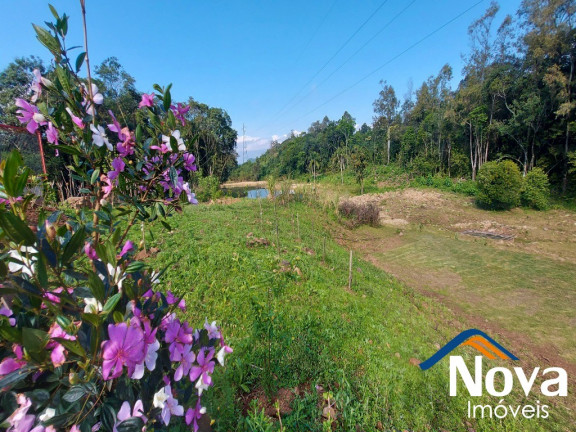 Imagem Imóvel à Venda, 32.549 m² em Linha Olinda - Nova Petrópolis Imagem Imóvel à Venda, 32.549 m² em Linha Olinda - Nova Petrópolis