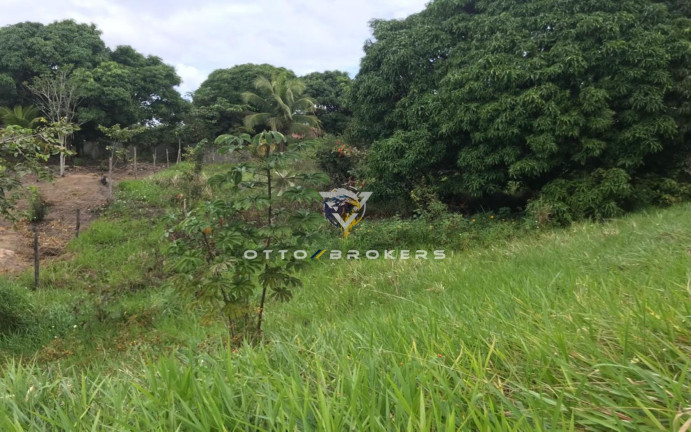 Imagem Terreno à Venda, 7.500 m² em Tânia - Santa Cruz Cabrália