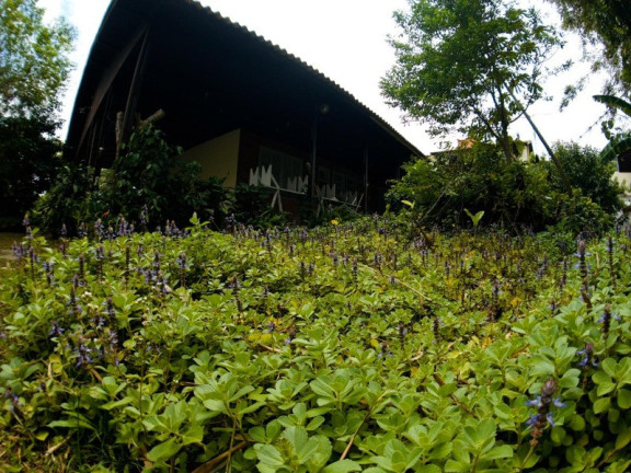 Imagem Imóvel com 3 Quartos à Venda, em Lagoa Da Conceição - Florianópolis Imagem Imóvel com 3 Quartos à Venda, em Lagoa Da Conceição - Florianópolis