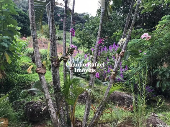 Imagem Fazenda à Venda, 300 m² em Cachoeiro De Macaé - Casimiro De Abreu