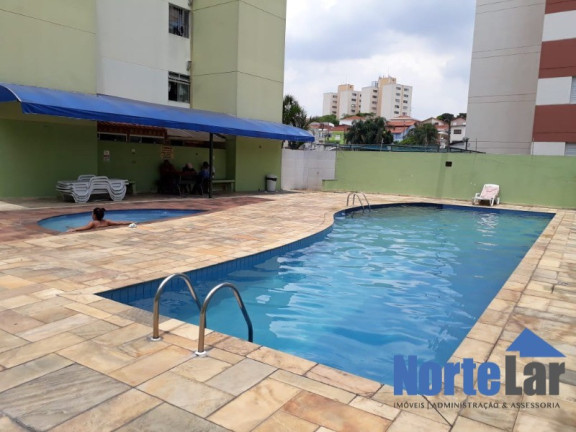 Imagem Apartamento com 2 Quartos à Venda, 49 m² em Vila Amélia - São Paulo Imagem Apartamento com 2 Quartos à Venda, 49 m² em Vila Amélia - São Paulo