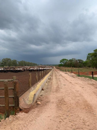 Fazenda à Venda, 4.530 m² em Rural - Camapuã