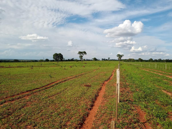 Imagem Fazenda à Venda, 2.027 m² em Rural - Campo Grande