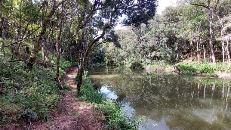 Imagem Chácara com 6 Quartos à Venda, 1 m² em Felpudo - Campo Largo Imagem Chácara com 6 Quartos à Venda, 1 m² em Felpudo - Campo Largo