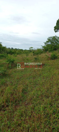 Imagem Fazenda à Venda, 1.411 m² em Poxoréo Imagem Fazenda à Venda, 1.411 m² em Poxoréo