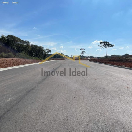 Imagem Terreno à Venda, 230 m² em Costeira - Araucária Imagem Terreno à Venda, 230 m² em Costeira - Araucária