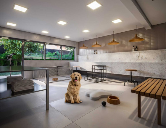 Imagem Imóvel com 2 Quartos à Venda, 50 m² em Quarta Parada - São Paulo Imagem Imóvel com 2 Quartos à Venda, 50 m² em Quarta Parada - São Paulo