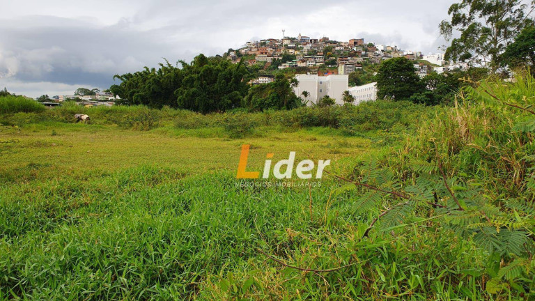 Imagem Terreno à Venda, 16.000 m² em São Pedro - Juiz De Fora Imagem Terreno à Venda, 16.000 m² em São Pedro - Juiz De Fora