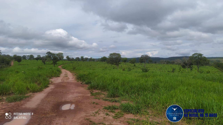 Imagem Fazenda à Venda, 814 m² em Zona Rural - Nova Xavantina Imagem Fazenda à Venda, 814 m² em Zona Rural - Nova Xavantina