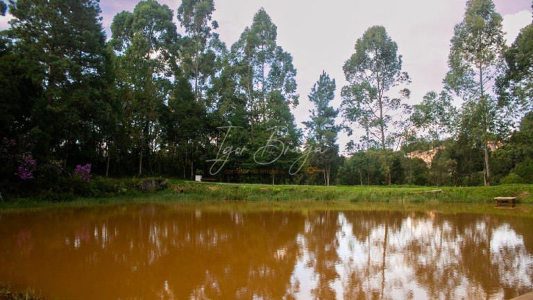 Imagem Terreno à Venda, 282 m² em Vila Rivabem - Campo Largo