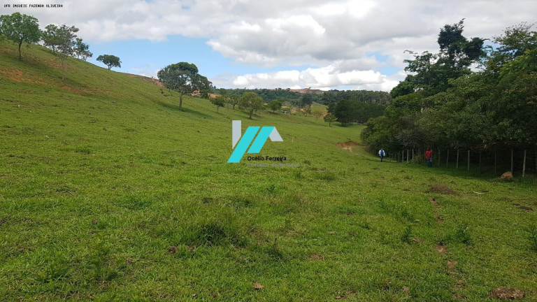 Imagem Fazenda à Venda, 128 m² em Zona Rural - Oliveira Imagem Fazenda à Venda, 128 m² em Zona Rural - Oliveira