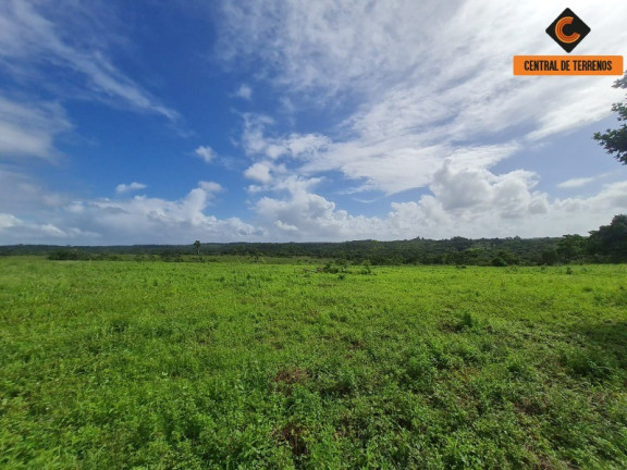 Imagem Imóvel com 2 Quartos à Venda, 975.787 m² em Barra De Pojuca - Camaçari Imagem Imóvel com 2 Quartos à Venda, 975.787 m² em Barra De Pojuca - Camaçari