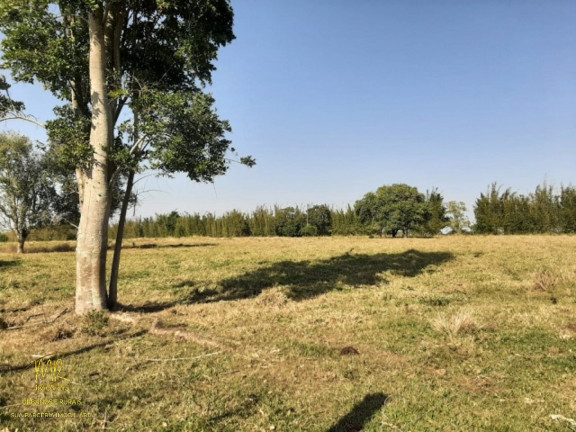Imagem Imóvel à Venda, 48 m² em Dores De Macabu - Campos Dos Goytacazes Imagem Imóvel à Venda, 48 m² em Dores De Macabu - Campos Dos Goytacazes