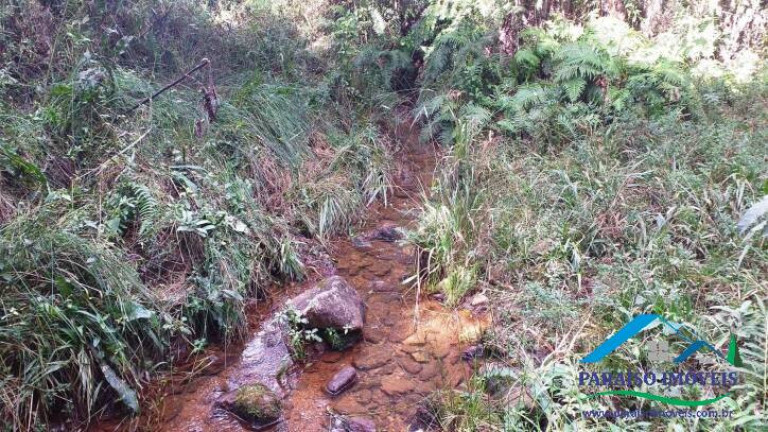 Imagem Terreno à Venda, 113.740 m² em Centro - Gonçalves
