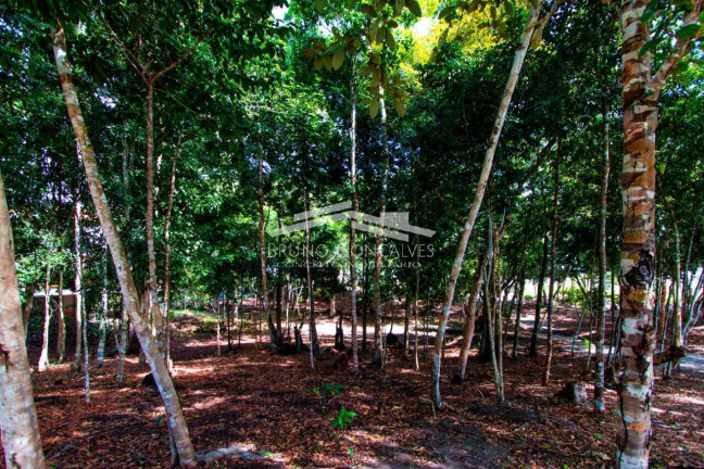 Imagem Terreno à Venda, 500 m² em Porto Seguro Imagem Terreno à Venda, 500 m² em Porto Seguro