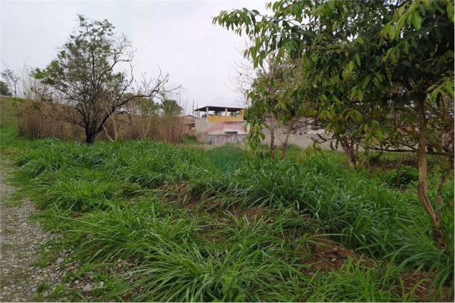 Imagem Terreno à Venda, 425 m² em Itaipuaçu - Maricá Imagem Terreno à Venda, 425 m² em Itaipuaçu - Maricá