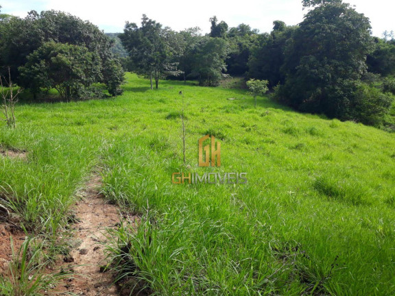 Chácara à Venda, 338.800 m² em Area Rural - Novo Brasil