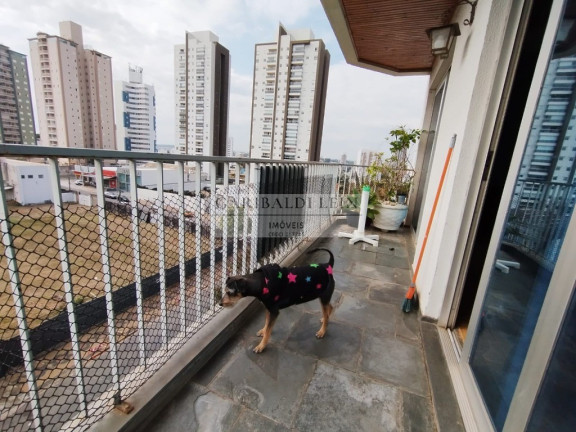 Imagem Imóvel com 3 Quartos à Venda, 118 m² em Taquaral - Campinas Imagem Imóvel com 3 Quartos à Venda, 118 m² em Taquaral - Campinas