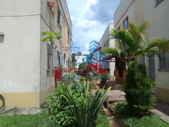 Imagem Apartamento com 2 Quartos à Venda, 41 m² em São João Batista - Santa Luzia Imagem Apartamento com 2 Quartos à Venda, 41 m² em São João Batista - Santa Luzia