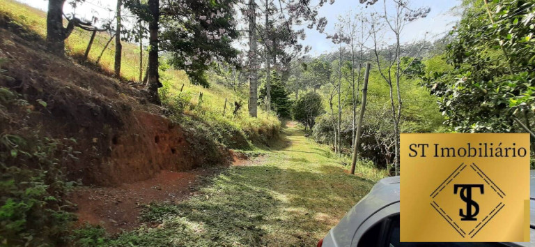 Imagem Chácara com 3 Quartos à Venda, 72.000 m² em Estância Santa Maria Do Portão - Atibaia