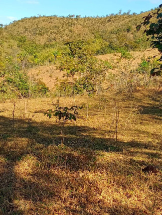 Imagem Fazenda à Venda, 12 m² em Zona Rural - Padre Bernardo Imagem Fazenda à Venda, 12 m² em Zona Rural - Padre Bernardo