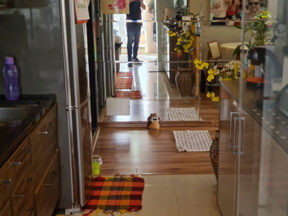 Imagem Apartamento com 3 Quartos à Venda, 70 m² em Usina Piratininga - São Paulo