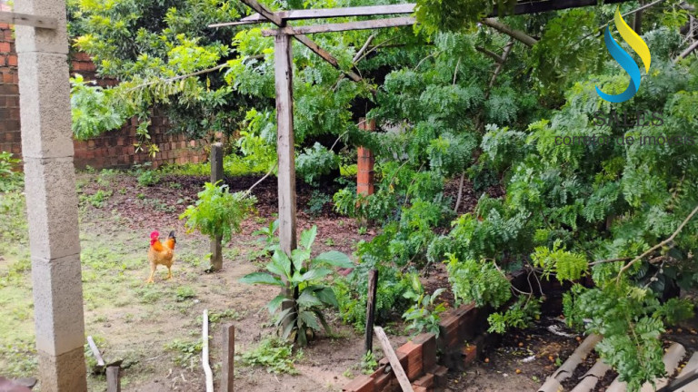 Imagem Imóvel à Venda, 500 m² em Mucunã - Maracanau