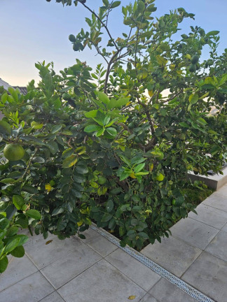 Imagem Casa de Condomínio com 4 Quartos à Venda, 450 m² em Nova Gardênia - Atibaia Imagem Casa de Condomínio com 4 Quartos à Venda, 450 m² em Nova Gardênia - Atibaia