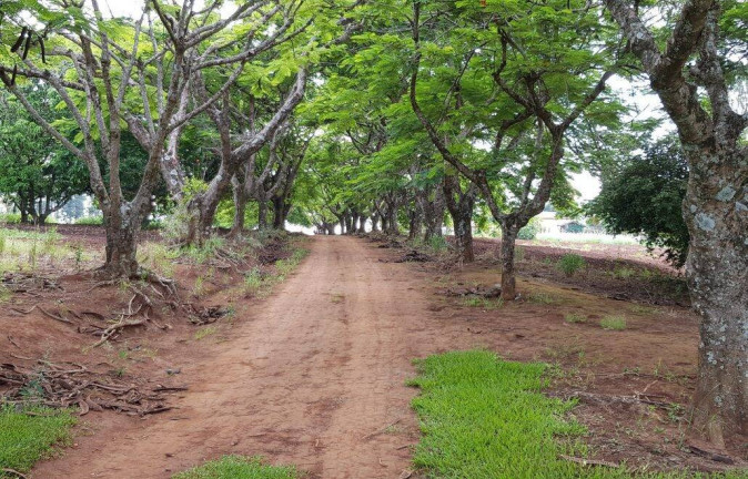 Imagem Chácara com 8 Quartos à Venda, 5 m² em Recanto Maravilha - Boituva Imagem Chácara com 8 Quartos à Venda, 5 m² em Recanto Maravilha - Boituva