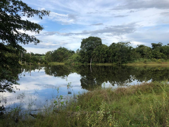 Imagem Fazenda à Venda,  em Rural - Figueirópolis