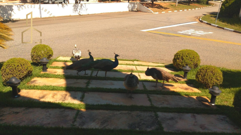 Imagem Casa de Condomínio com 4 Quartos para Alugar, 510 m² em Jardim Ibiti Do Paço - Sorocaba