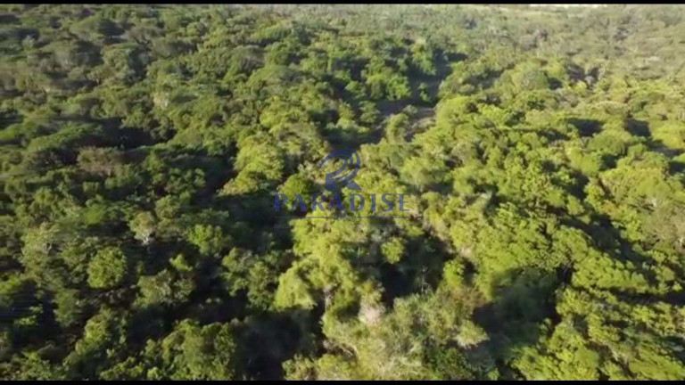 Imagem Terreno à Venda, 47.229 m² em Barra Do Pojuca - Camaçari Imagem Terreno à Venda, 47.229 m² em Barra Do Pojuca - Camaçari