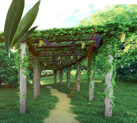 Imagem Terreno à Venda, 1.023 m² em Setor Maysa - Trindade Imagem Terreno à Venda, 1.023 m² em Setor Maysa - Trindade