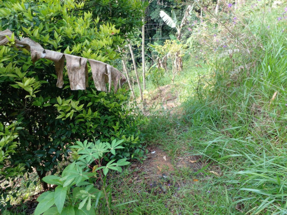 Imagem Imóvel à Venda,  em Zantão - Brusque
