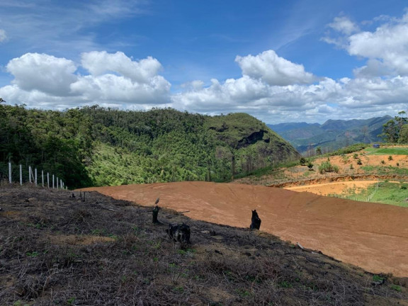 Imóvel à Venda, 20.000 m² em Penha - Santa Tereza