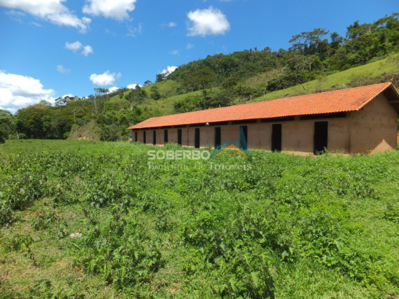 Imagem Imóvel com 4 Quartos à Venda, 1.016.400 m² em Providência - Teresópolis Imagem Imóvel com 4 Quartos à Venda, 1.016.400 m² em Providência - Teresópolis