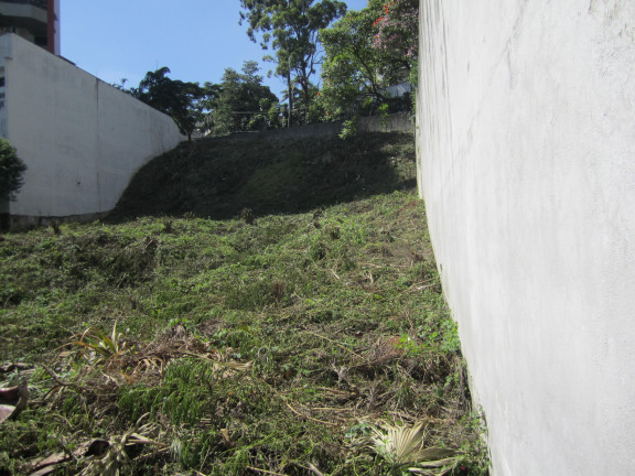 Imagem Terreno à Venda, 2.442 m² em Vila Suzana - São Paulo Imagem Terreno à Venda, 2.442 m² em Vila Suzana - São Paulo