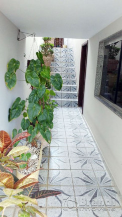 Imagem Casa com 3 Quartos à Venda, 320 m² em Vila Zelina - São Paulo