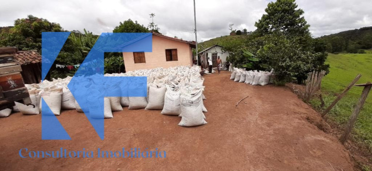 Imagem Imóvel à Venda, em São Caetano Do Lino - Capelinha Imagem Imóvel à Venda, em São Caetano Do Lino - Capelinha