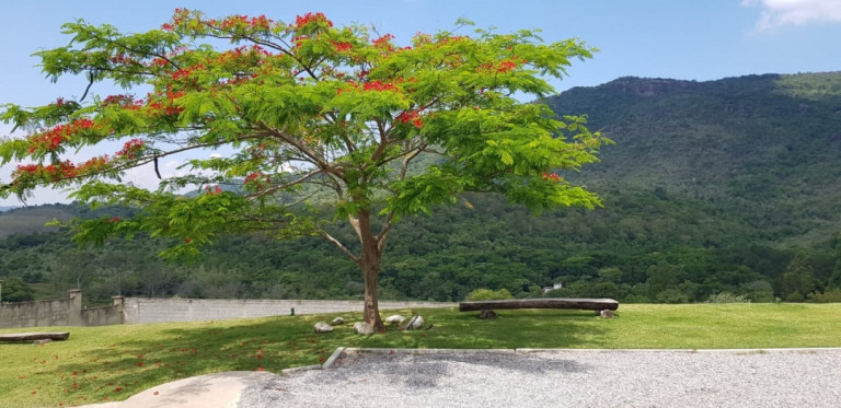 Imagem Chácara com 4 Quartos à Venda, 5 m² em Vila Santista - Atibaia Imagem Chácara com 4 Quartos à Venda, 5 m² em Vila Santista - Atibaia