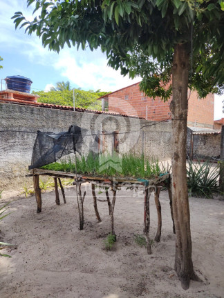 Imagem Imóvel com 4 Quartos à Venda, 1.200 m² em Parque Pecem - Catuana Imagem Imóvel com 4 Quartos à Venda, 1.200 m² em Parque Pecem - Catuana
