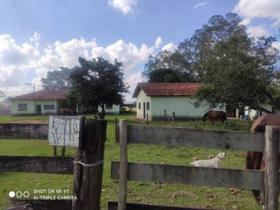Imagem Chácara com 4 Quartos à Venda, 2.000 m² em Alambari