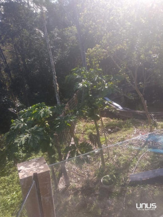 Imagem Fazenda à Venda, 46.887 m² em Sul Do Rio - Santo Amaro Da Imperatriz