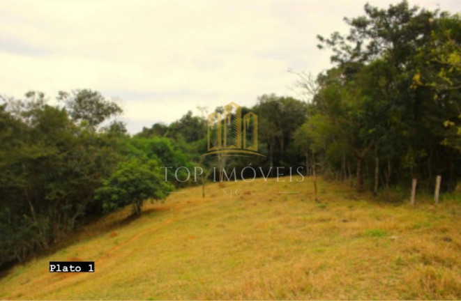 Imagem Fazenda à Venda, 84.280 m² em área Rural De São Francisco Xavier - São José Dos Campos Imagem Fazenda à Venda, 84.280 m² em área Rural De São Francisco Xavier - São José Dos Campos